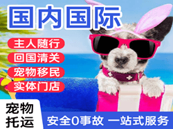 沙堤航空托运国际宠物托运 【国